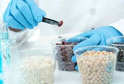 2026年初中英语优秀作文范文30