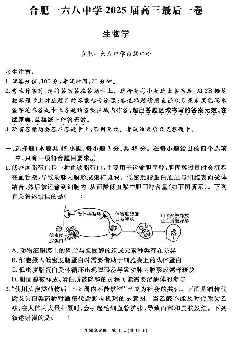 合肥一六八中学2025届高三最后一卷生物试卷及参考答案