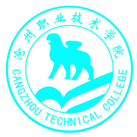 2024沧州职业技术学院艺术类录取分数线（含2022-2023历年）