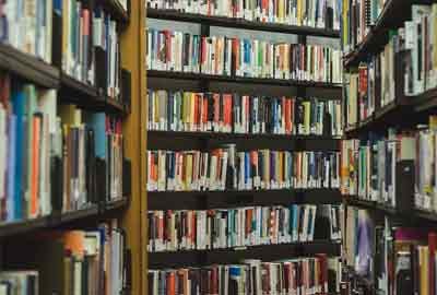 2024新乡工程学院在河南各专业录取分数线及对应位次 最低225分