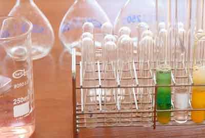 南京师范大学2024年各学科排名情况 并附教育部评级比例