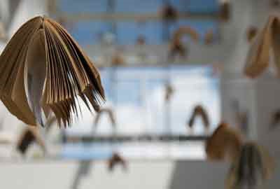 2025南通科技职业学院在山东各专业录取分数线及对应位次 最低423分