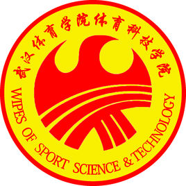 2025武汉体育学院体育科技学院艺术类录取分数线（含2023-2024历年）