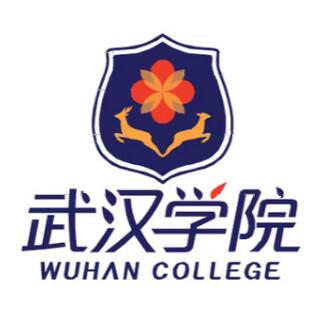 2025武汉学院艺术类录取分数线（含2023-2024历年）